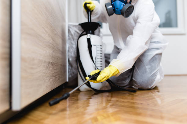 Best Mosquito Control Services  in Alderson, WV