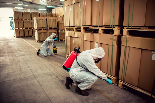 Best Pest Control for Homes  in Alderson, WV