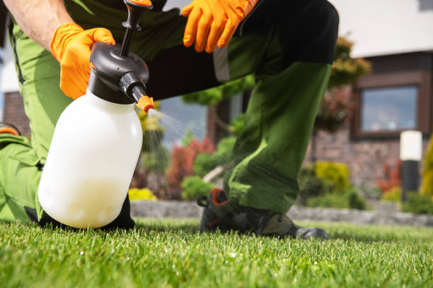 Best Rat Extermination Near Me  in Alderson, WV