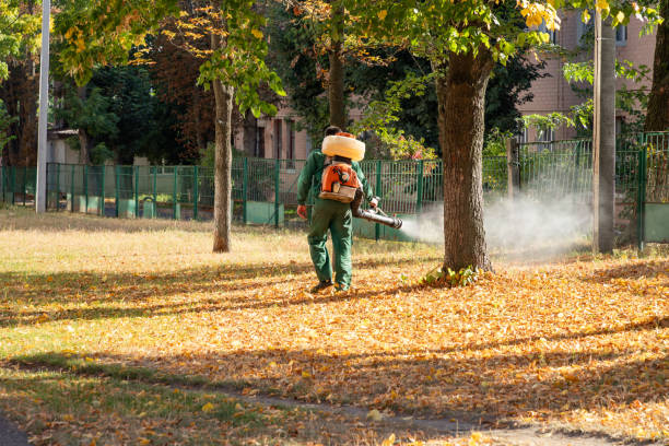 Best Pest Prevention Services  in Alderson, WV